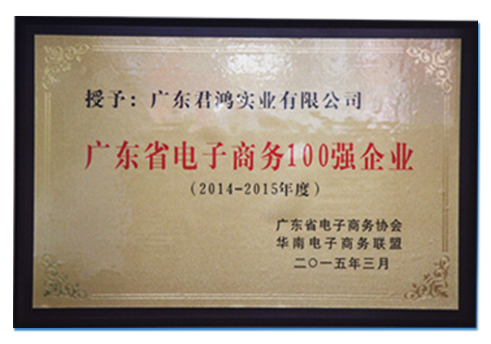 廣東省電子商務(wù)100強企業(yè)