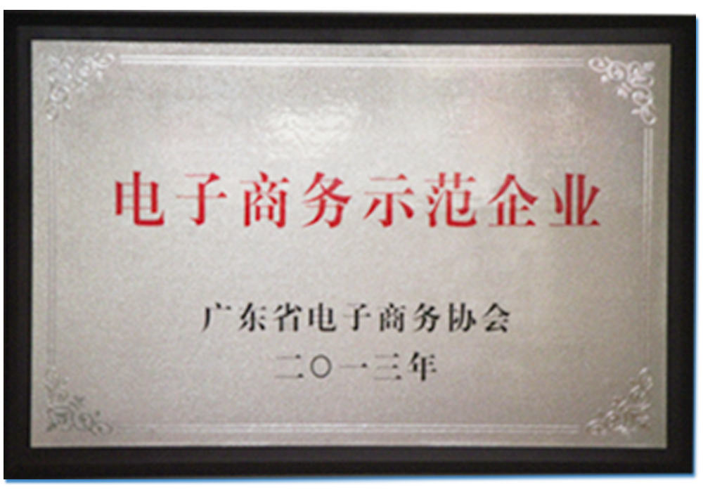 電子商務(wù)示范企業(yè)